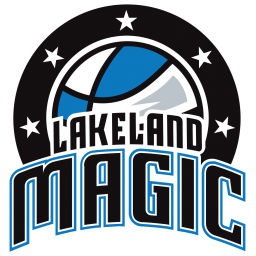 科利奇帕克天鹰