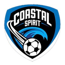 度尼丁城皇家队